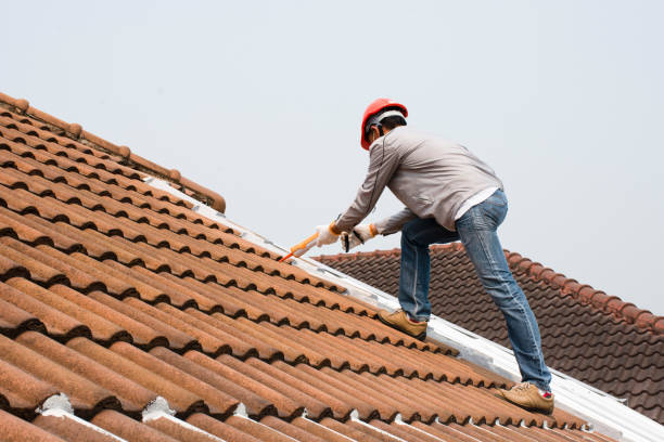 Best Rubber Roofing (EPDM, TPO)  in Elkin, NC