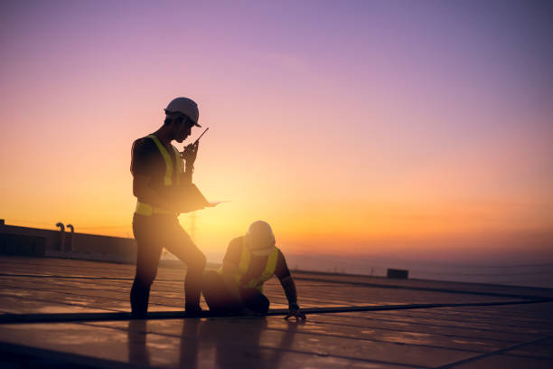 Best Roof Moss and Algae Removal  in Elkin, NC