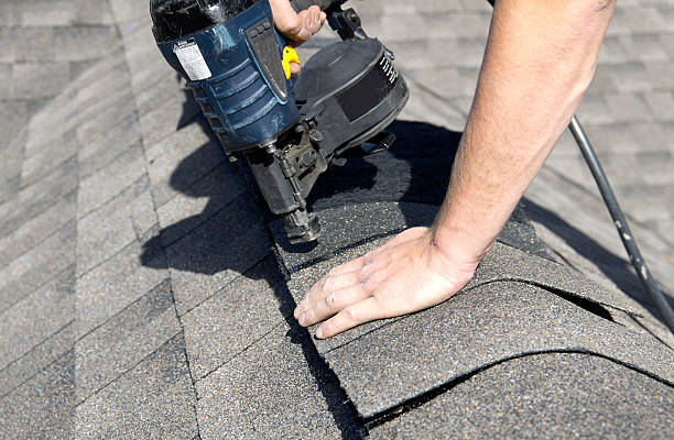 Best Skylight Installation and Repair  in Elkin, NC
